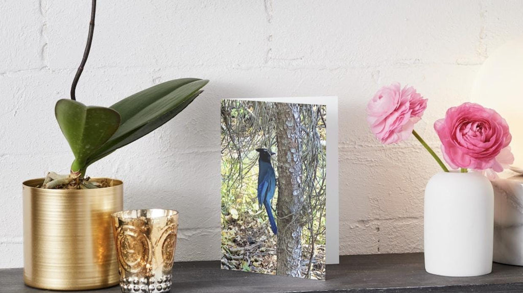 Rocky Mountain Blue Bird notecards