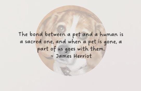 PERSONALIZE*  If Love Alone Could Have Kept You Here - Grieving the loss of a special pet