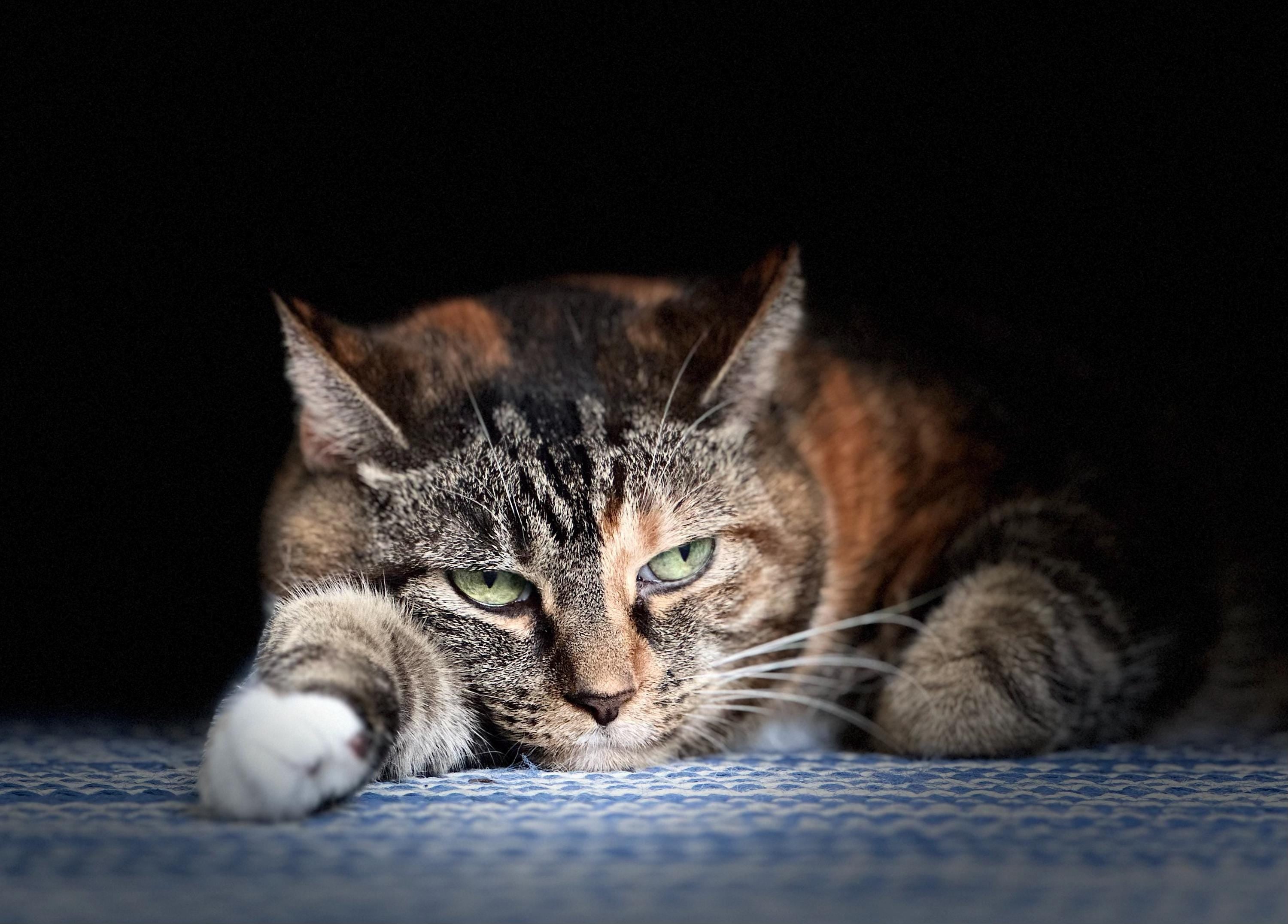 I've got my eyes on you birthday card