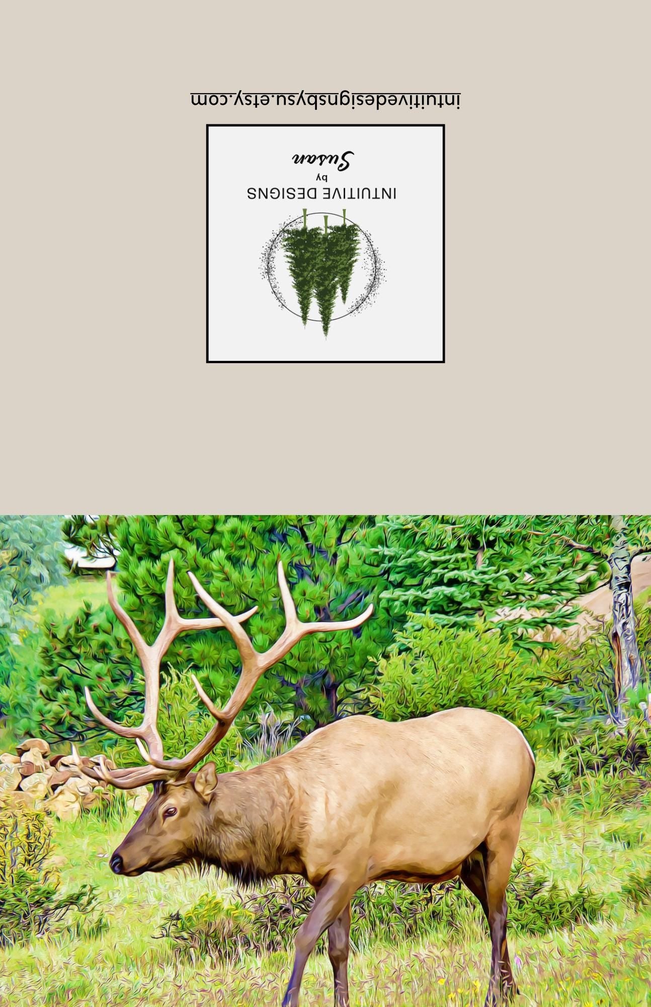 Estes Park Bull Elk note cards