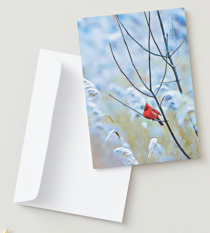 Cardinal bird Christmas greeting card