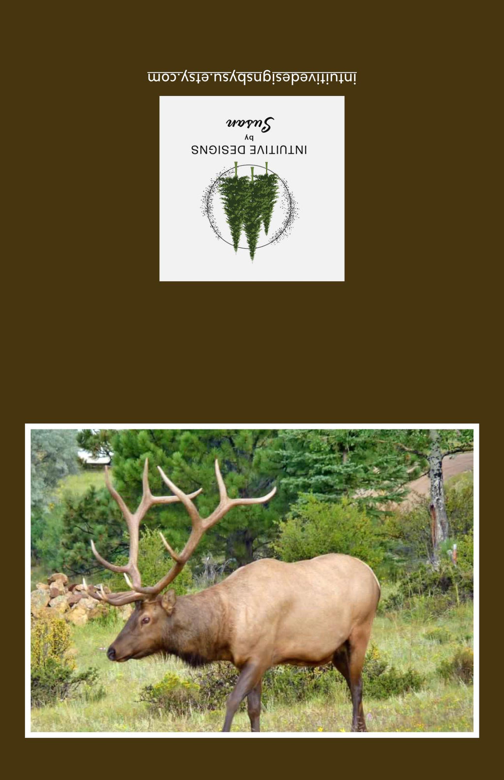 Estes Park Bull Elk note cards