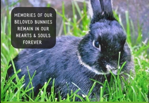 PERSONALIZE** Memories of our beloved bunn7