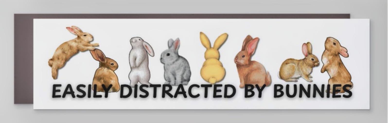 Easily Distracted by Bunnies magnetic bumper sticker for bunny lovers