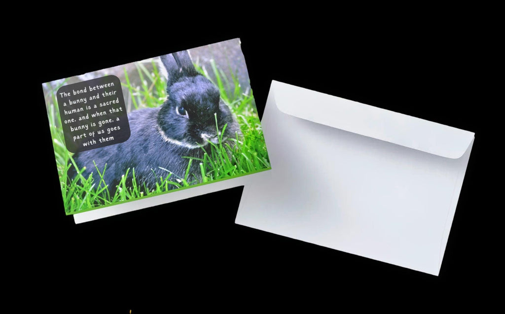 Loss of Beloved Bunny