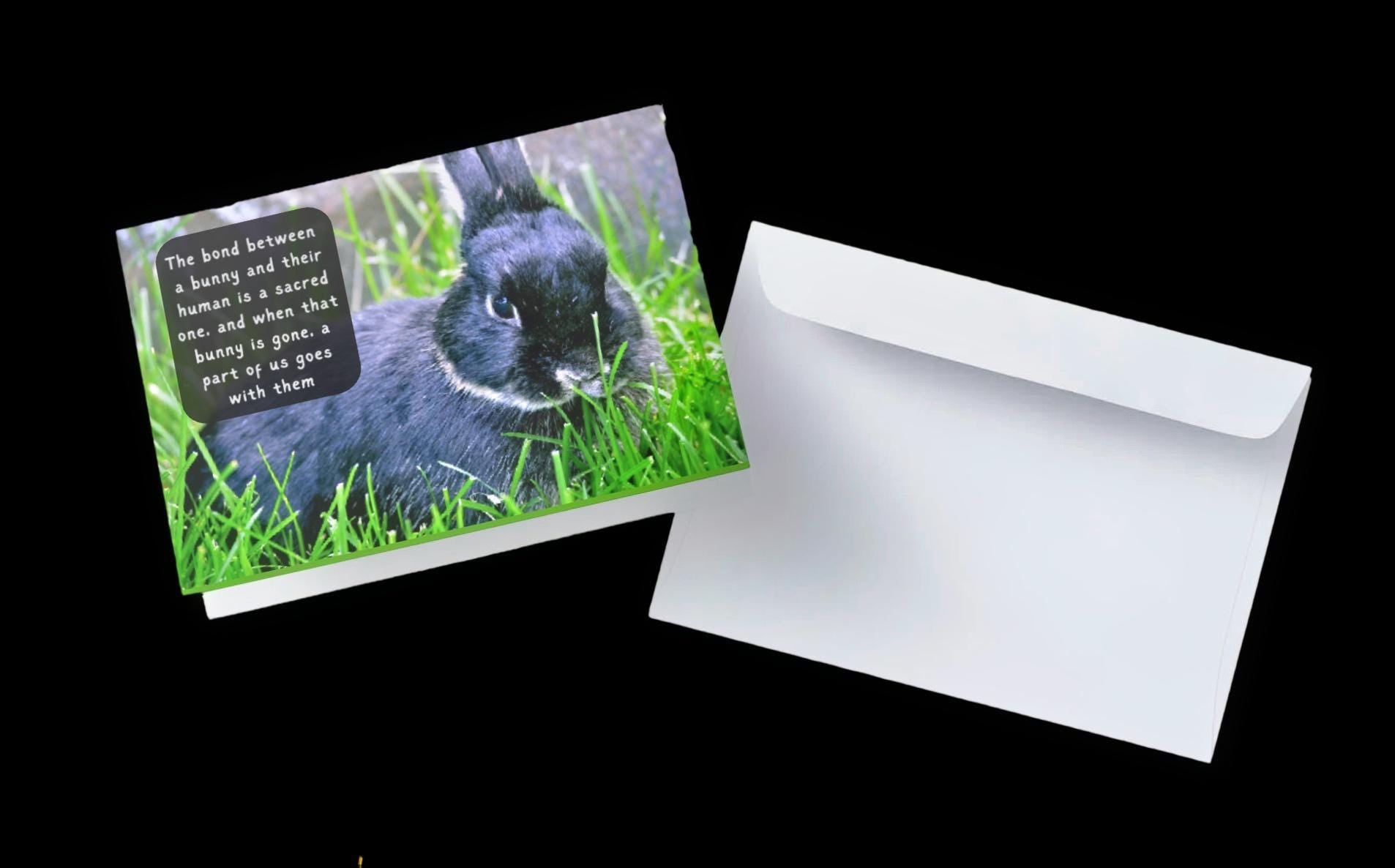 Loss of Beloved Bunny