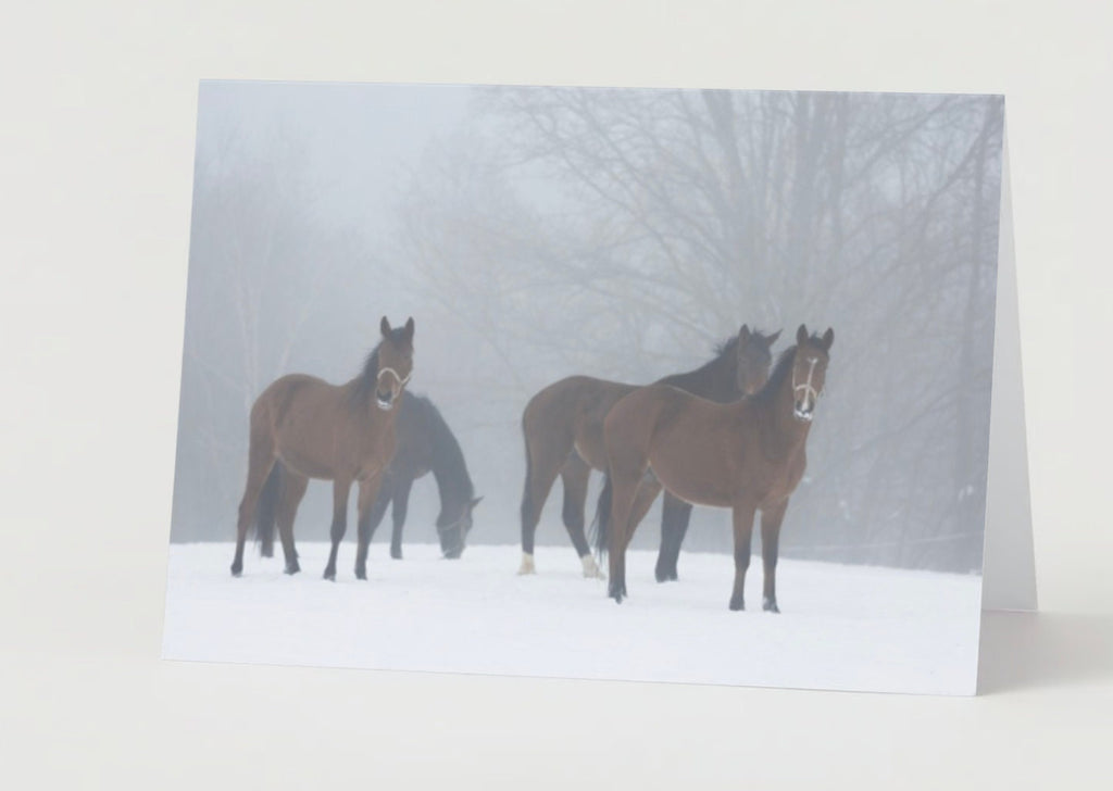 Christmas card featuring horses in a snowy background