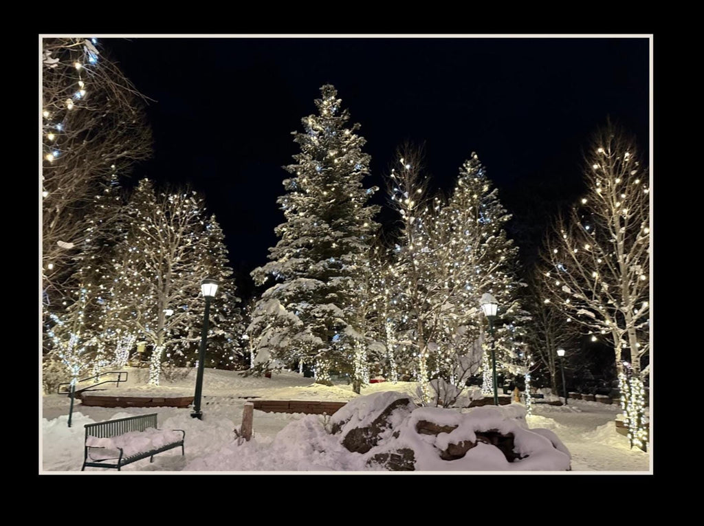 Estes Park, Colorado Winter scene notecards