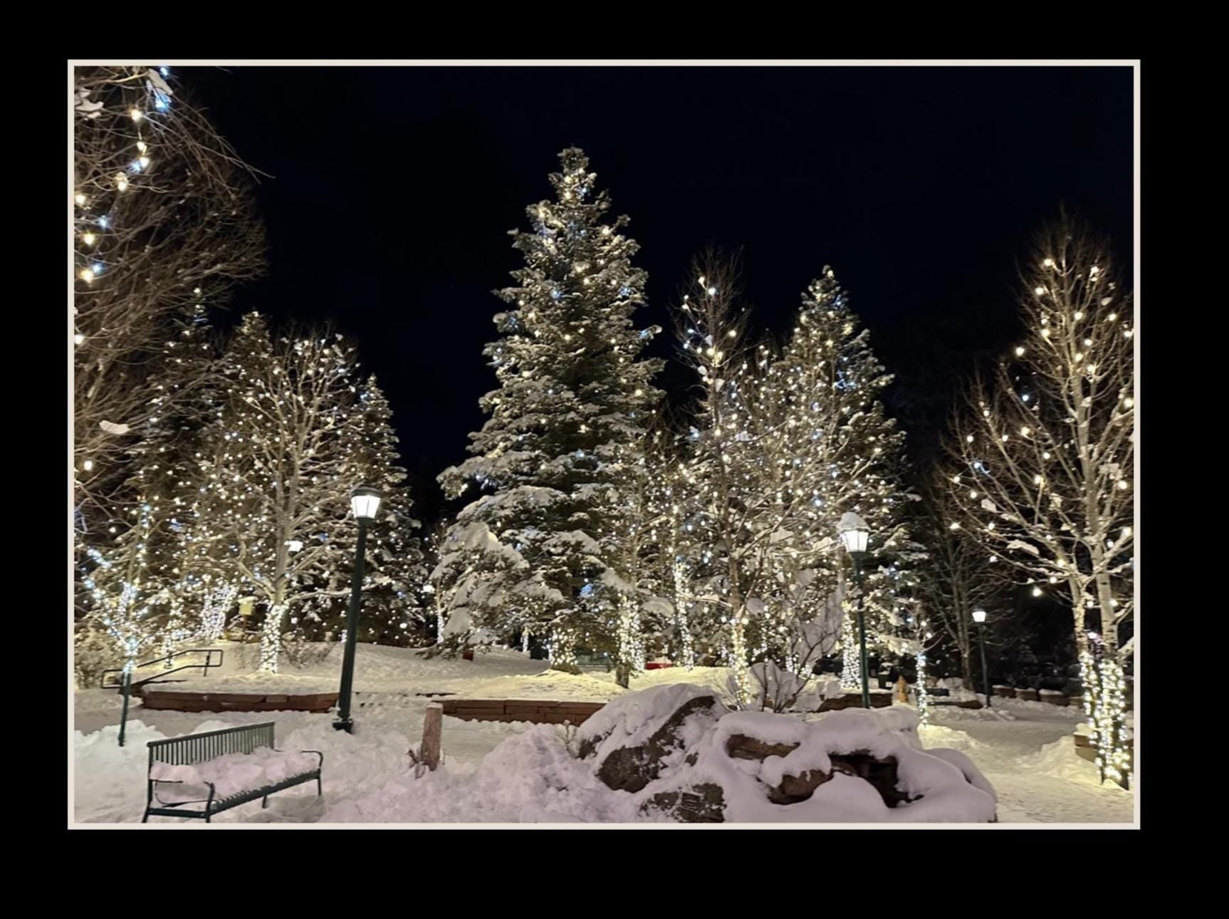 Estes Park, Colorado Winter scene notecards