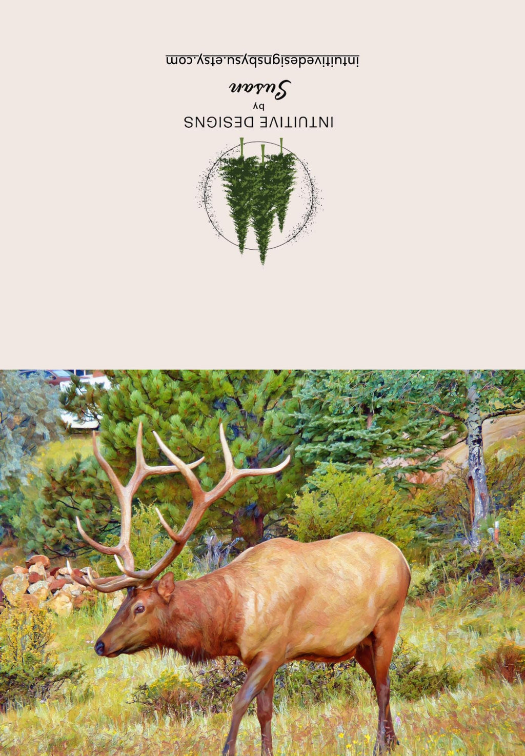 Estes Park Bull Elk note cards