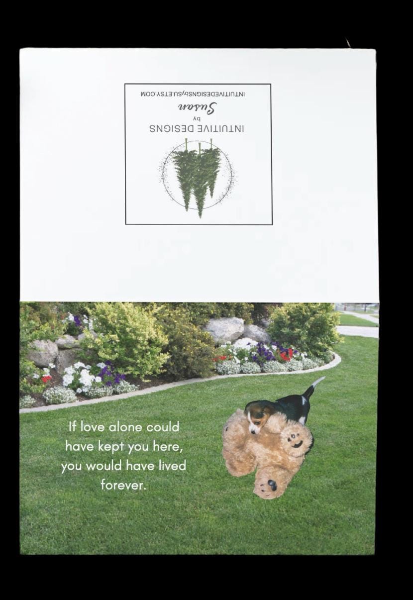 If Love Alone Could Have Kept You Here - Grieving the loss of a special pet