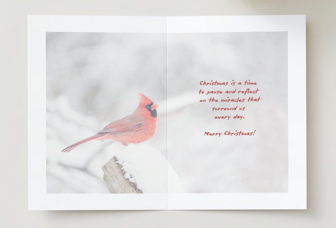 Take time for the quiet at Christmas time