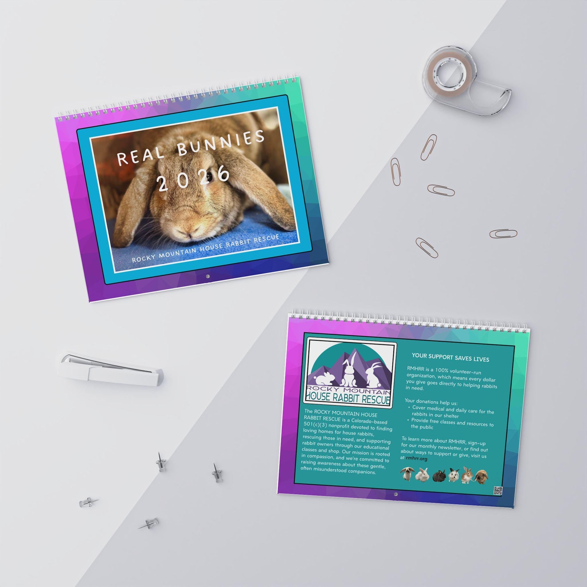 Real Bunnies 2026 Wall Calendar: Photos of Rescue Bunnies in their environment.