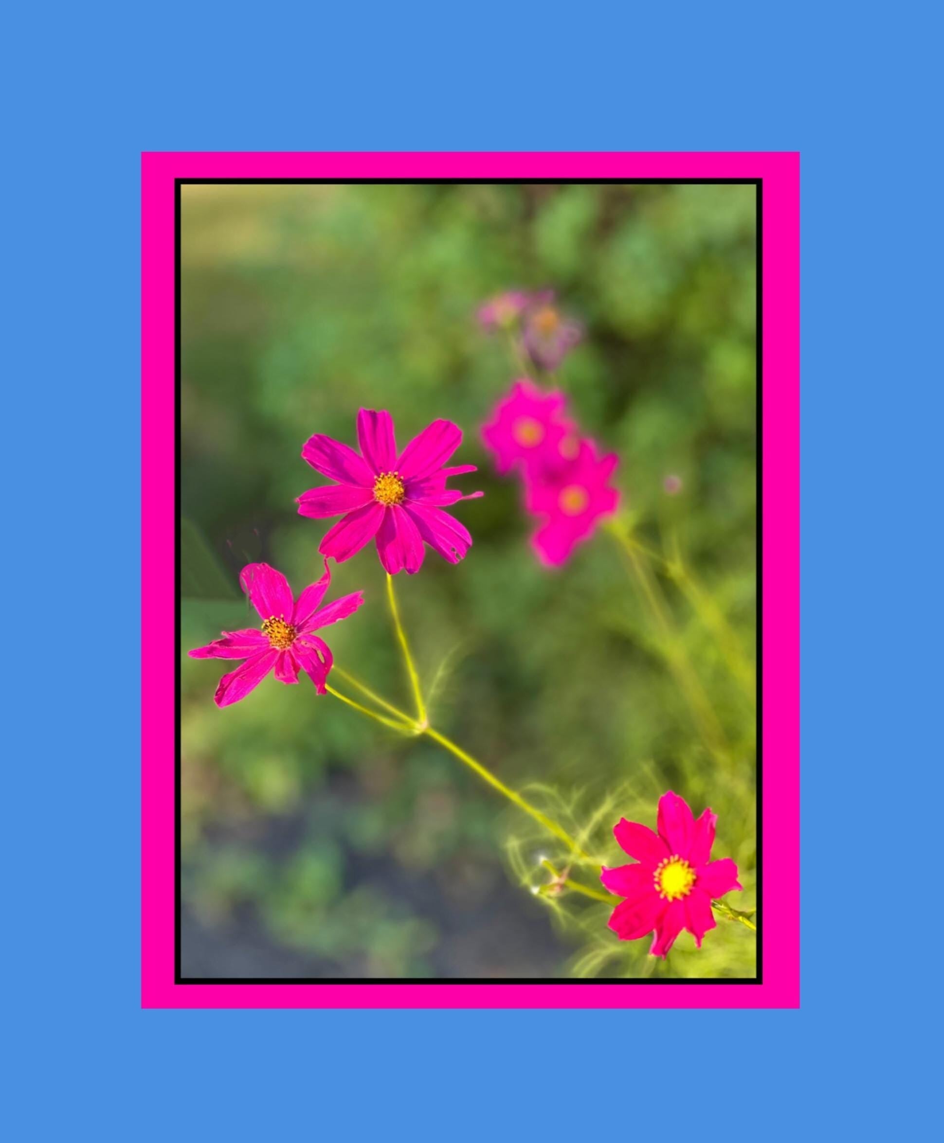 Variety Pack (9) of Water Color  Notecards