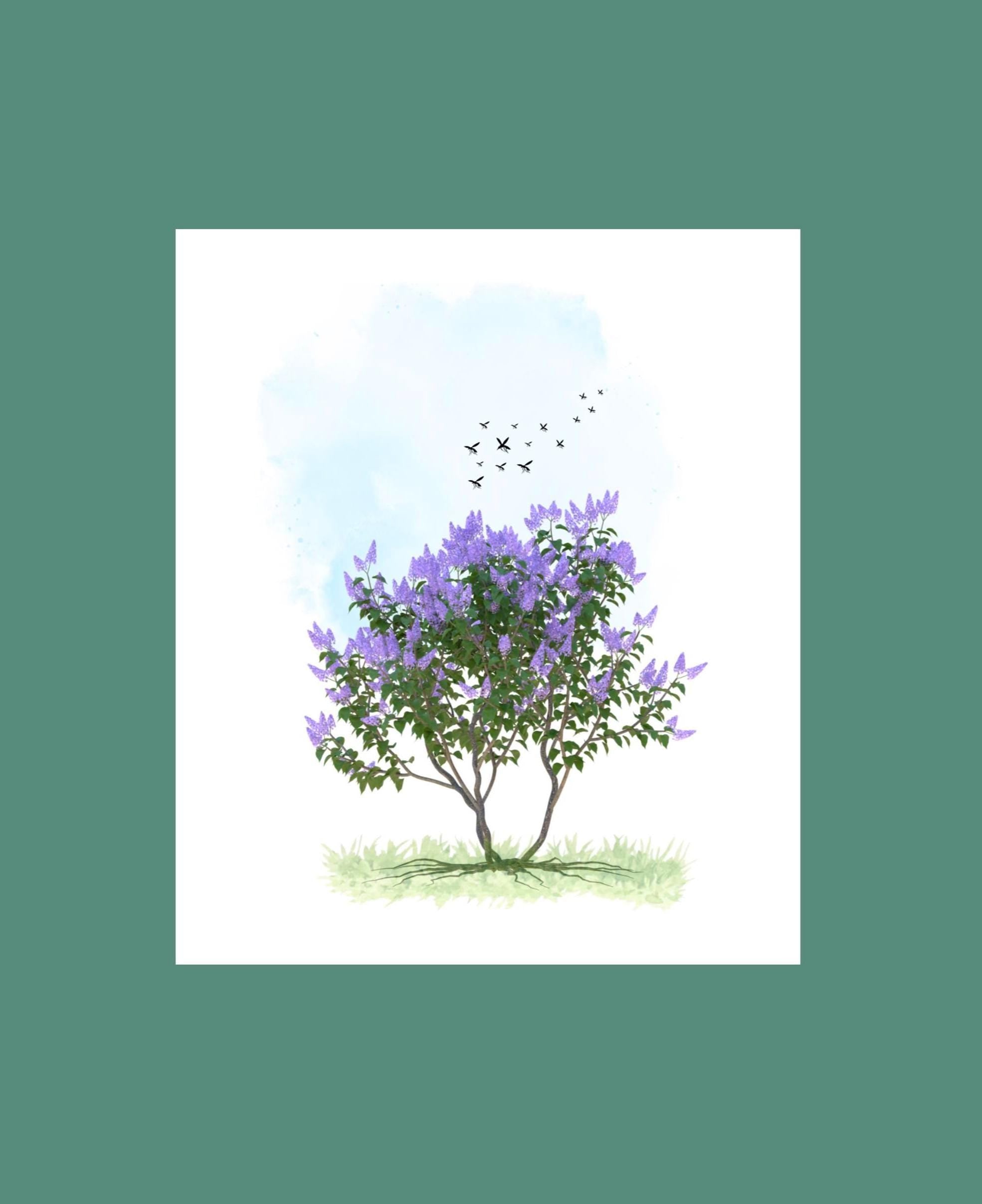 Variety Pack (9) of Water Color  Notecards