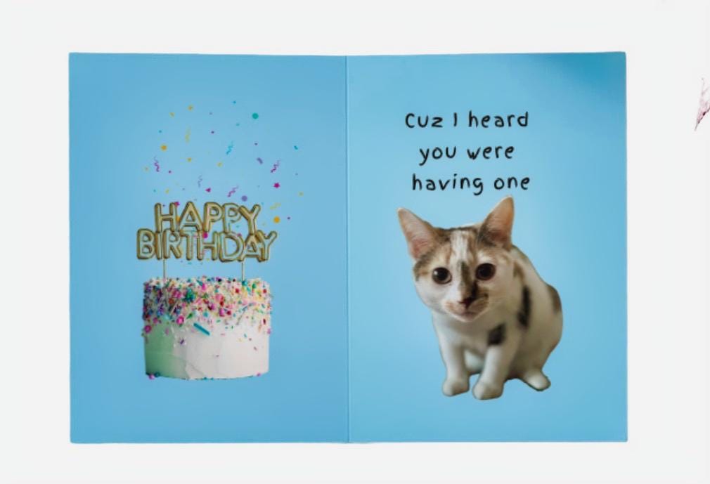 Cat Lover's Birthday