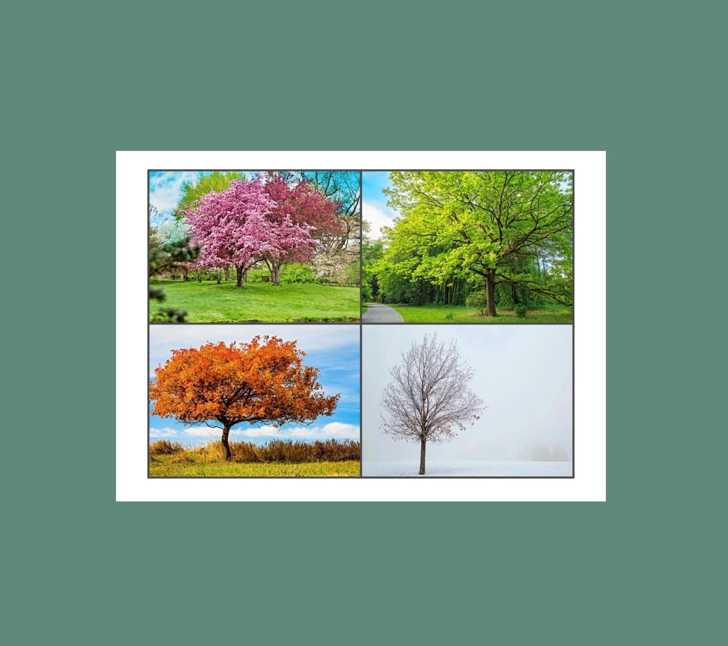 Through the Seasons Anniversary card