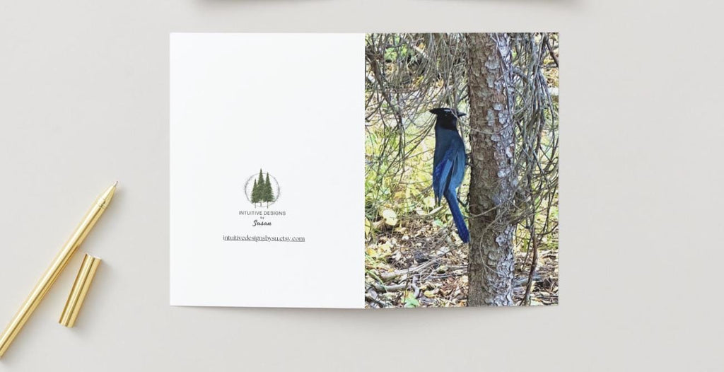 Rocky Mountain Blue Bird notecards
