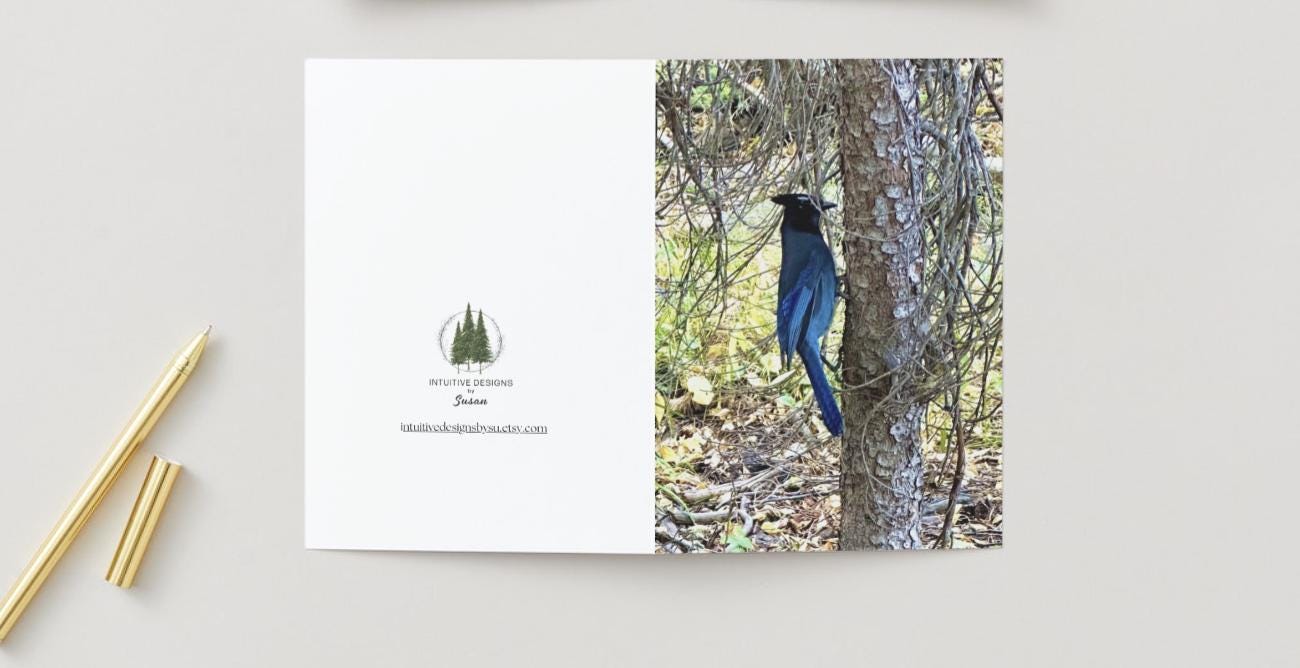 Rocky Mountain Blue Bird notecards