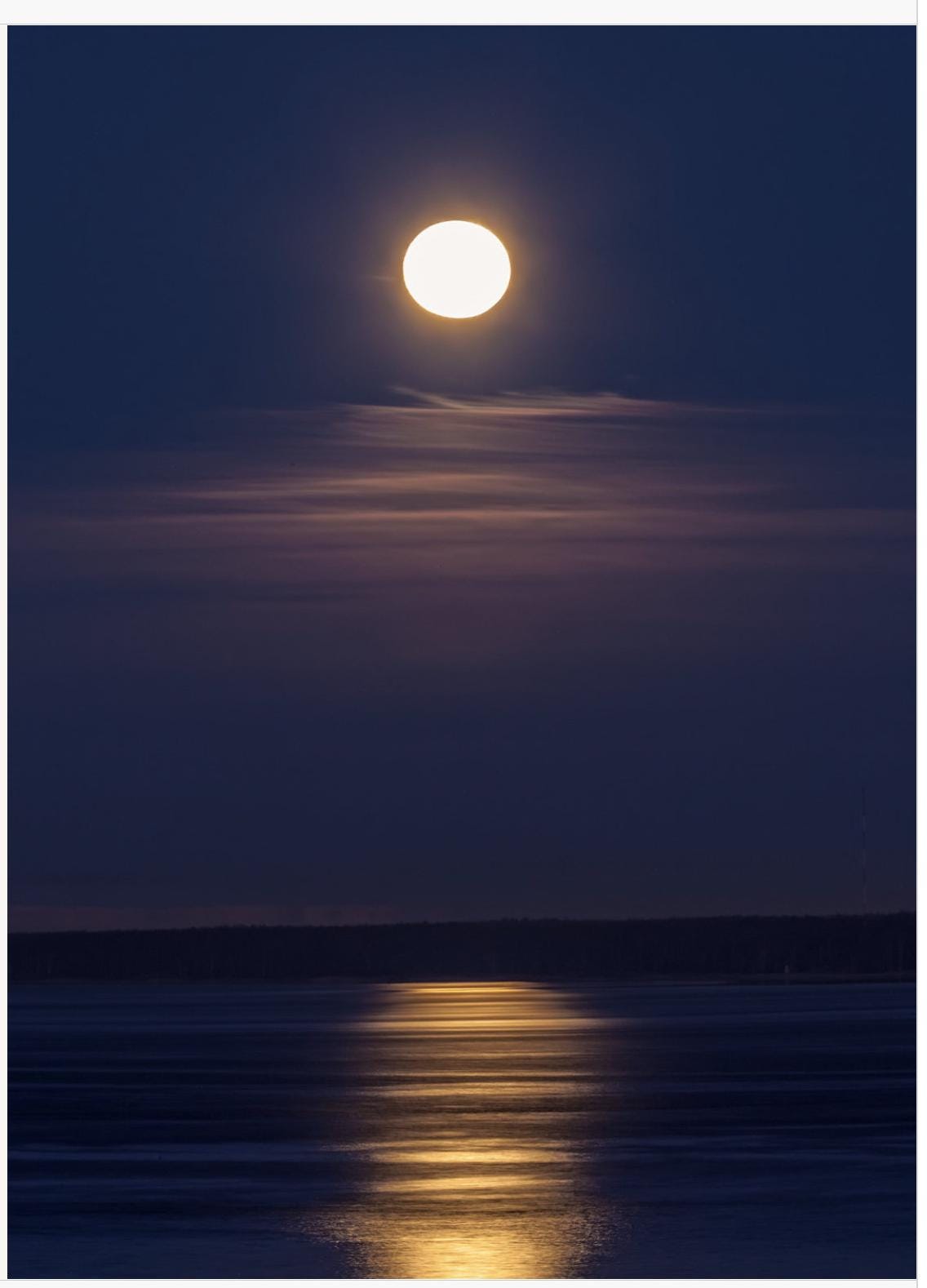 Empathy Card: Encouragement for Loss