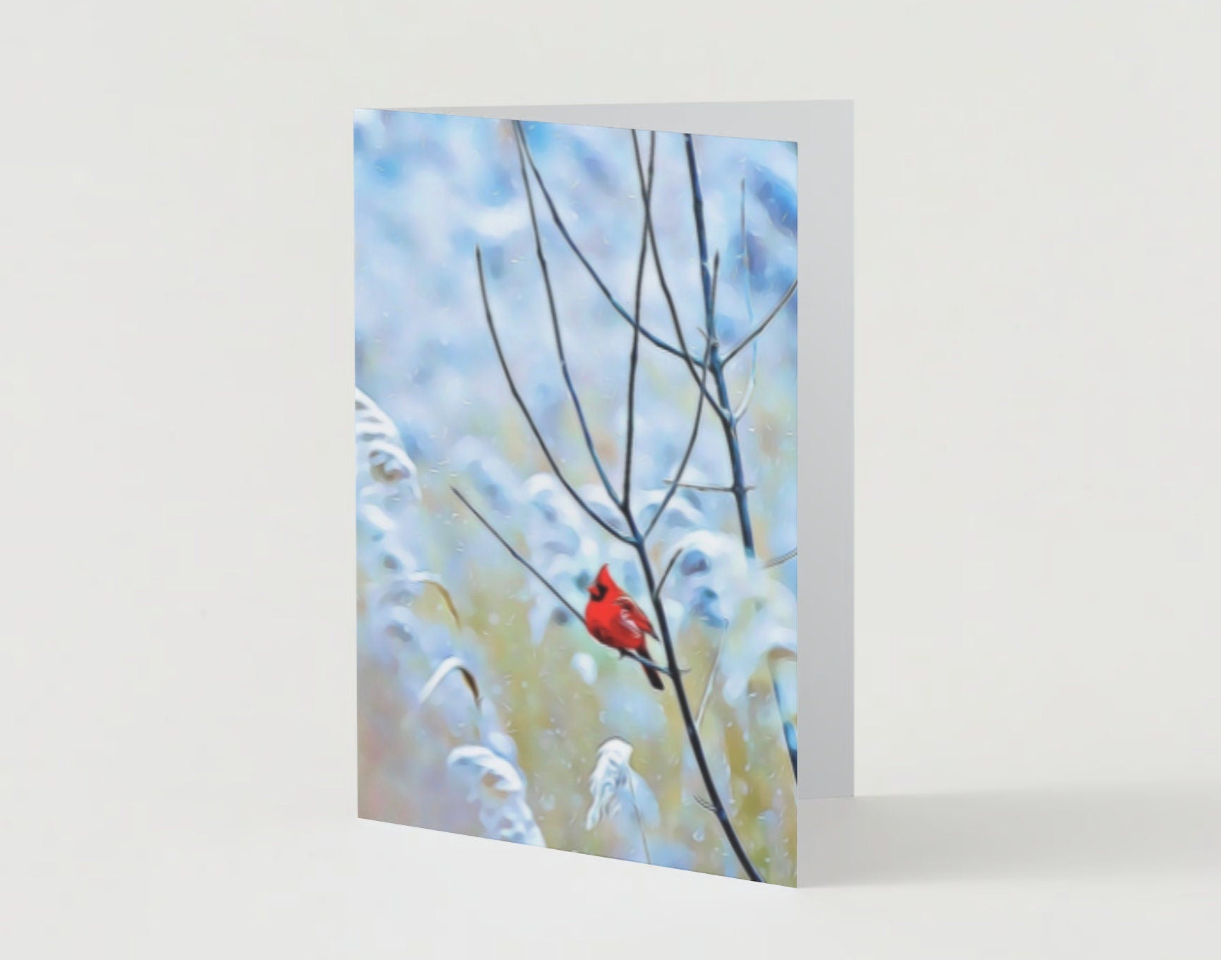 Cardinal bird Christmas greeting card