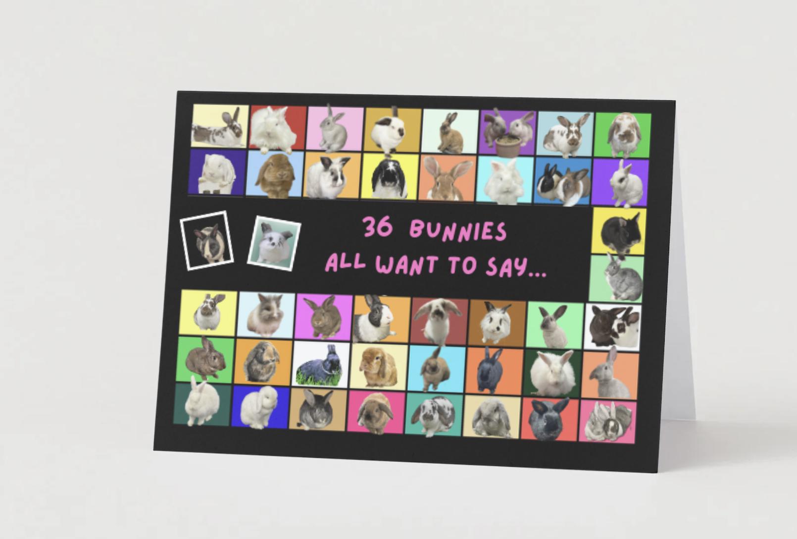 50 bunnies wishing you a happy birthday