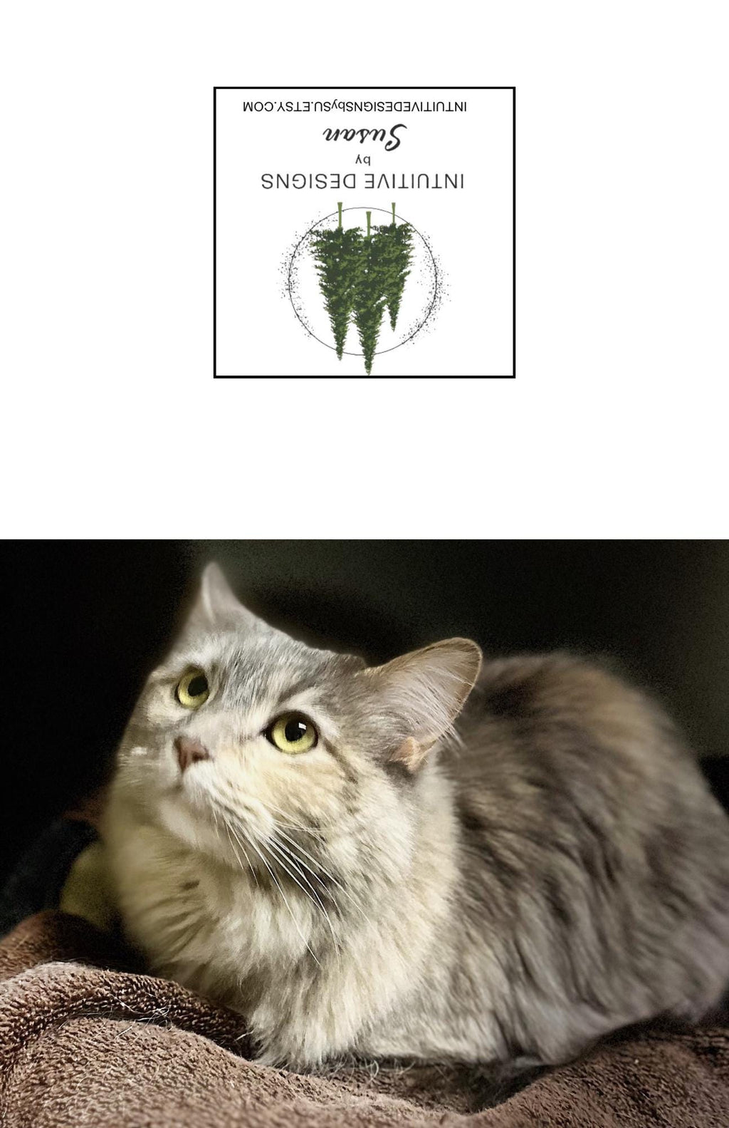 Hannah the Cat Notecards: Mischief Variety Pack