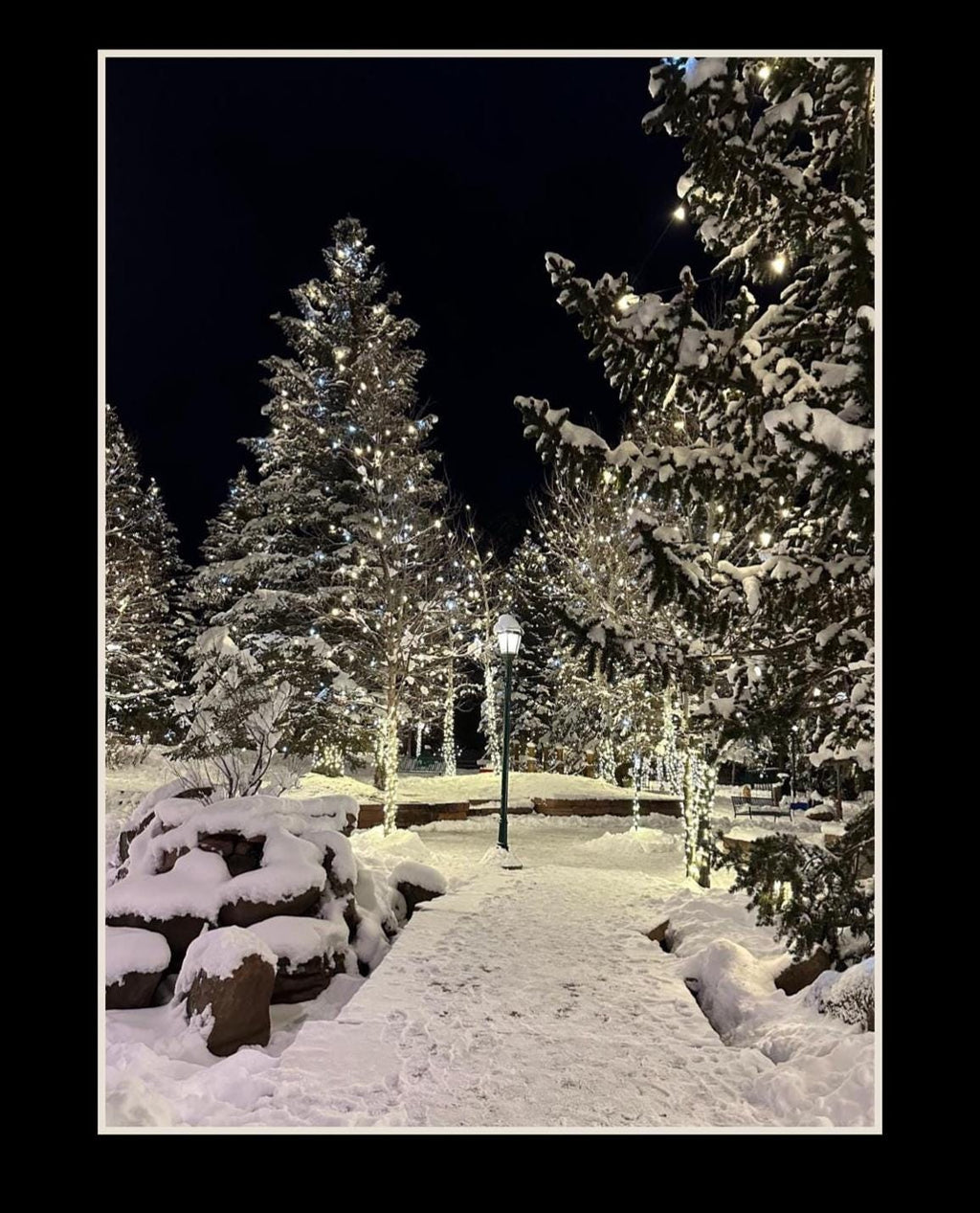 Estes Park, Colorado Winter scene notecards