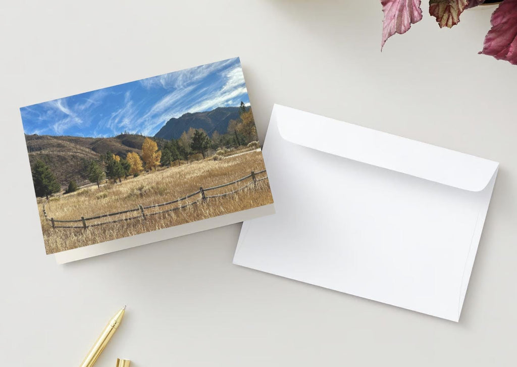 I will walk with you through darkness as you remember your light.