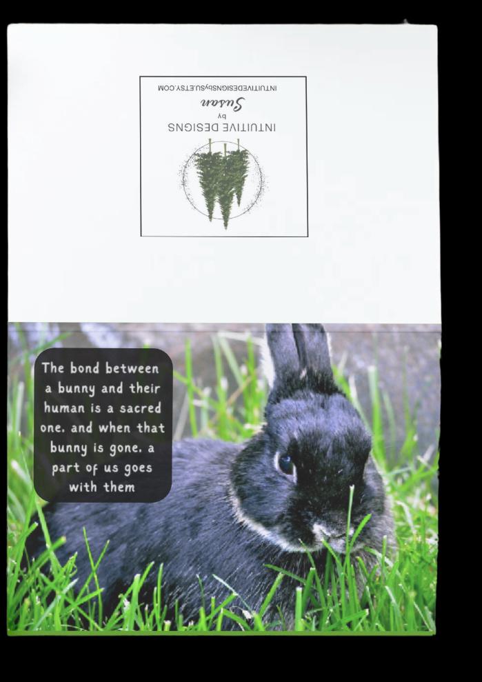 Loss of Beloved Bunny