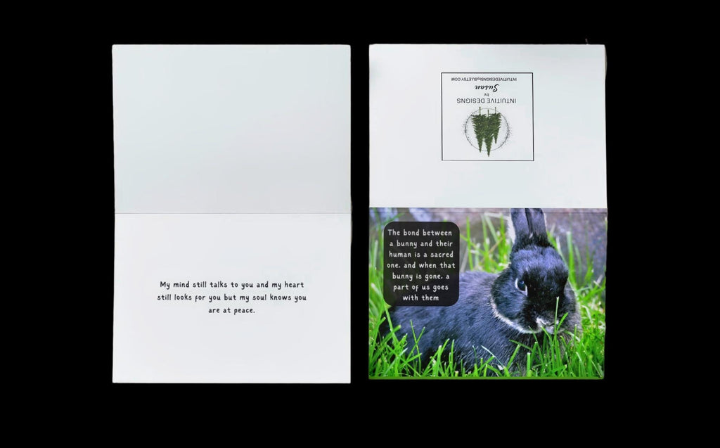 Loss of Beloved Bunny