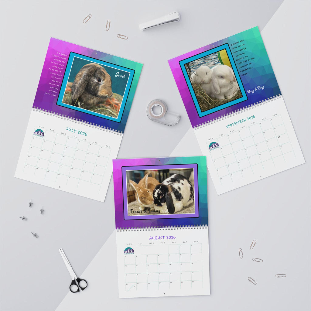 Real Bunnies 2026 Wall Calendar: Photos of Rescue Bunnies in their environment.