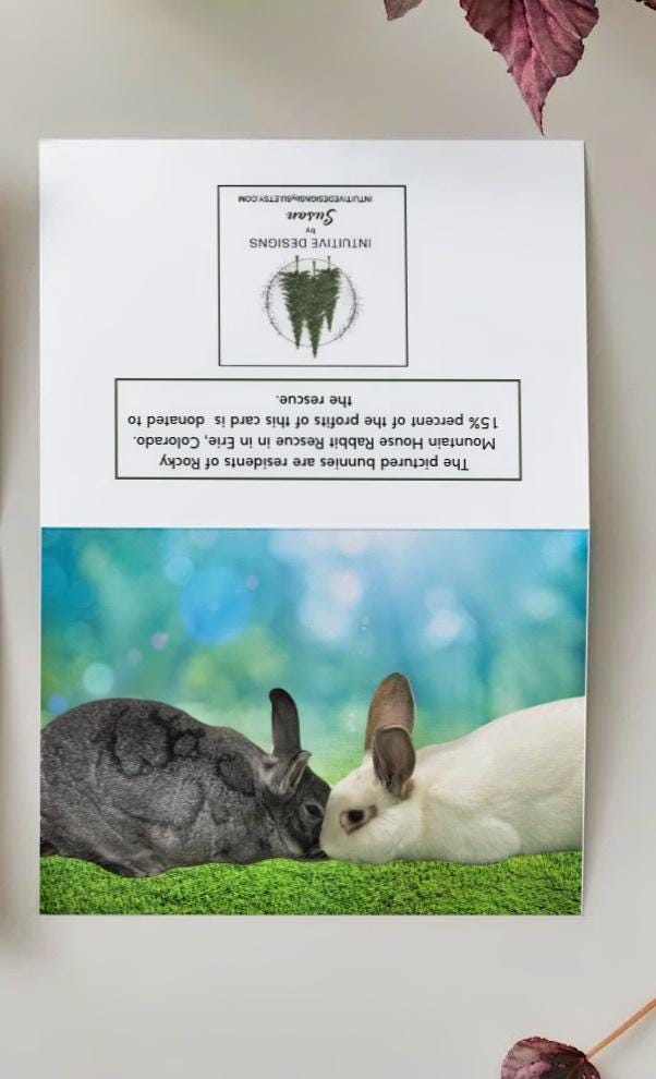 Rescue bunnies in the grass