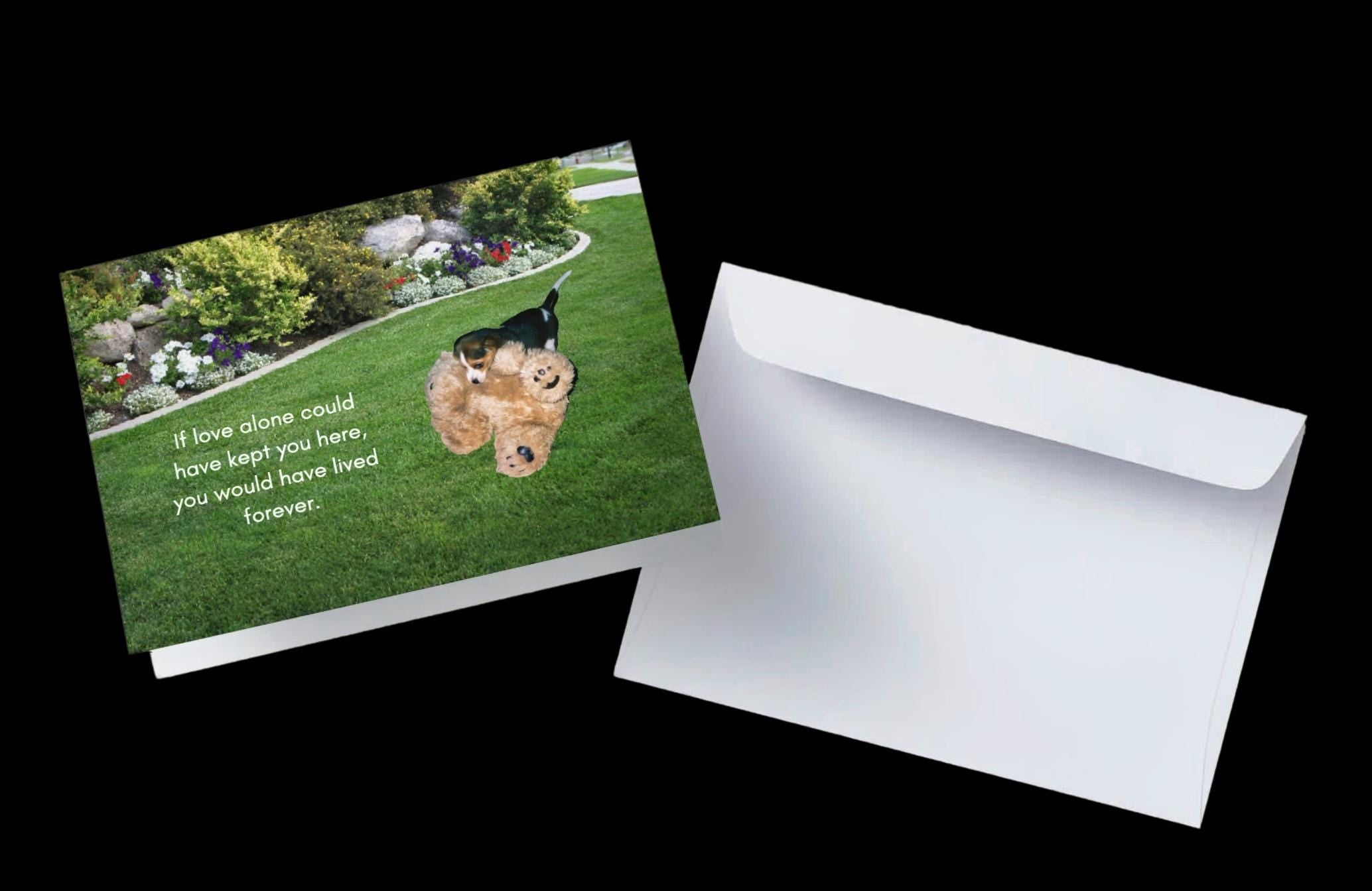 If Love Alone Could Have Kept You Here - Grieving the loss of a special pet