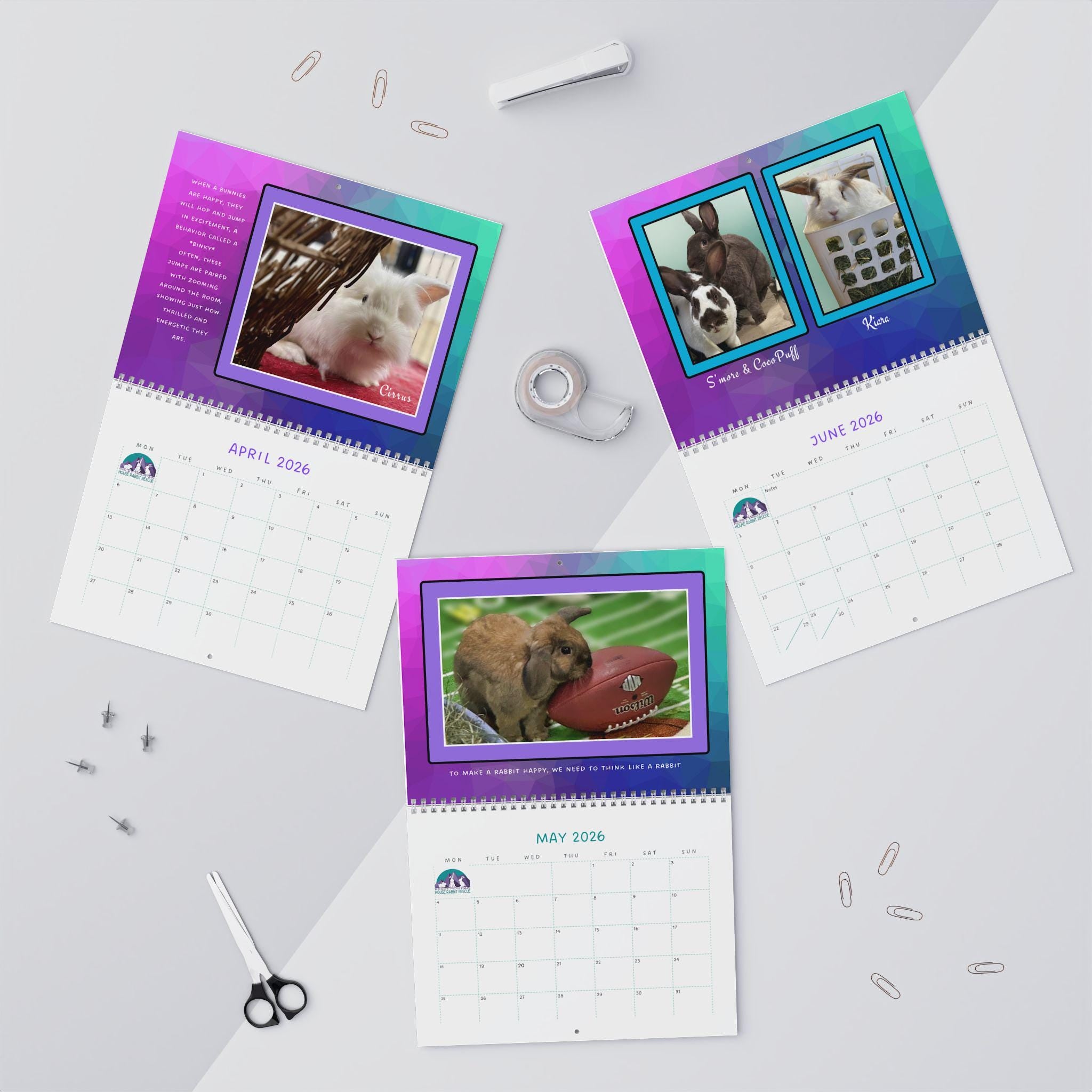 Real Bunnies 2026 Wall Calendar: Photos of Rescue Bunnies in their environment.