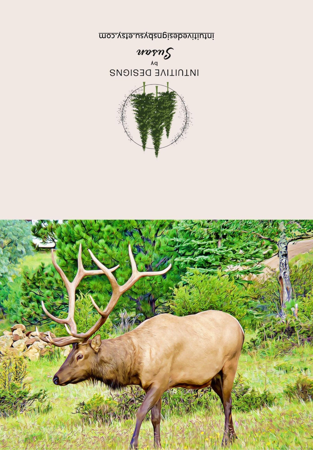 Estes Park Bull Elk note cards
