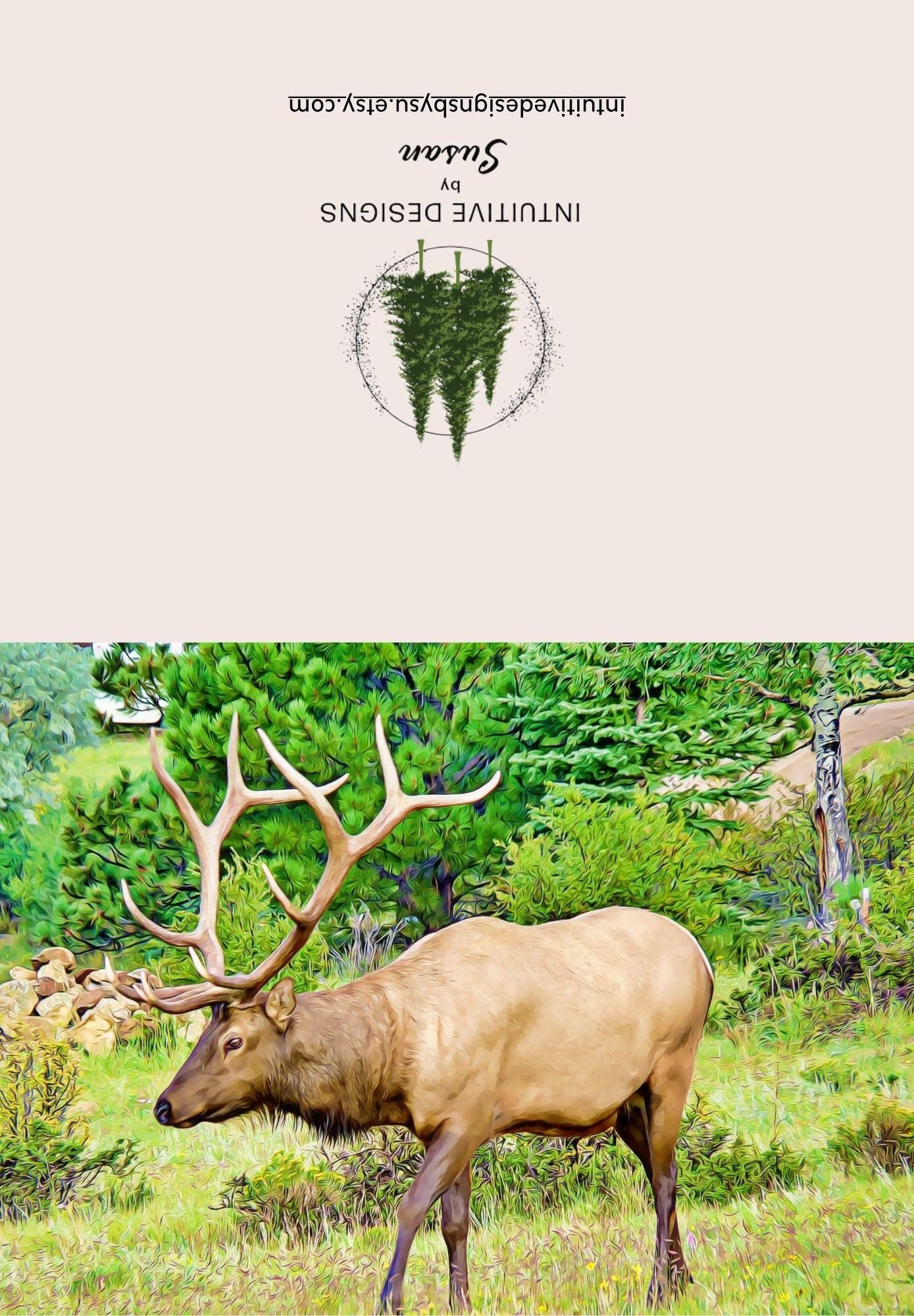 Estes Park Bull Elk note cards
