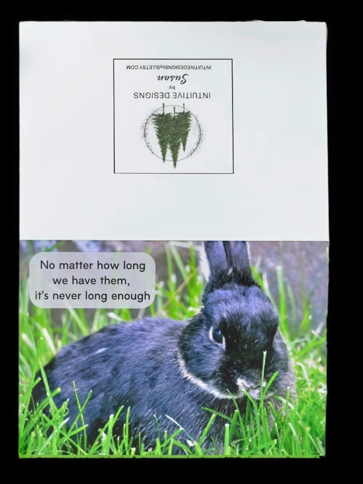 PERSONALIZE** Loss of loved bunny