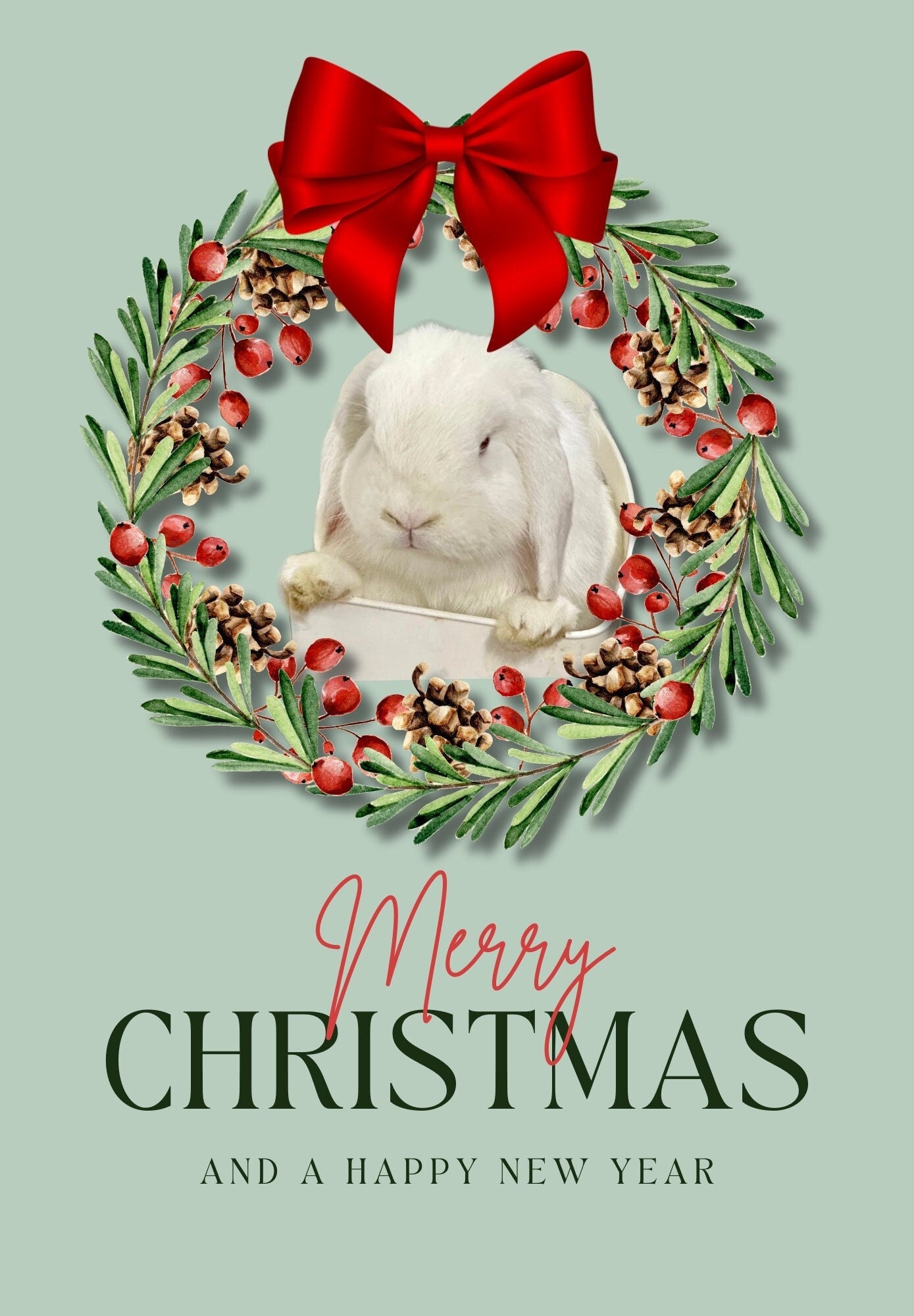 Merry Christmas Bunny
