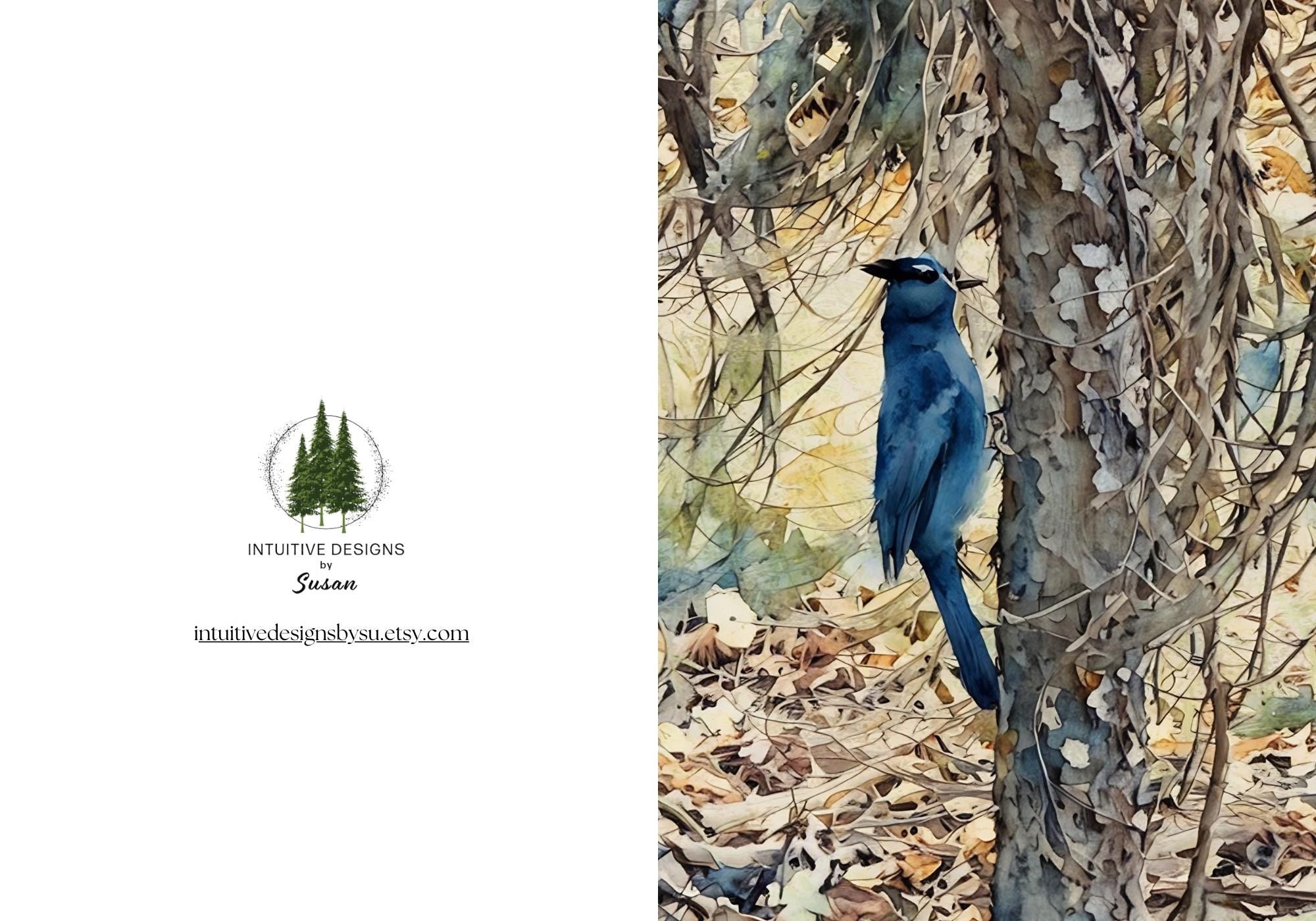 Rocky Mountain Blue Bird notecards