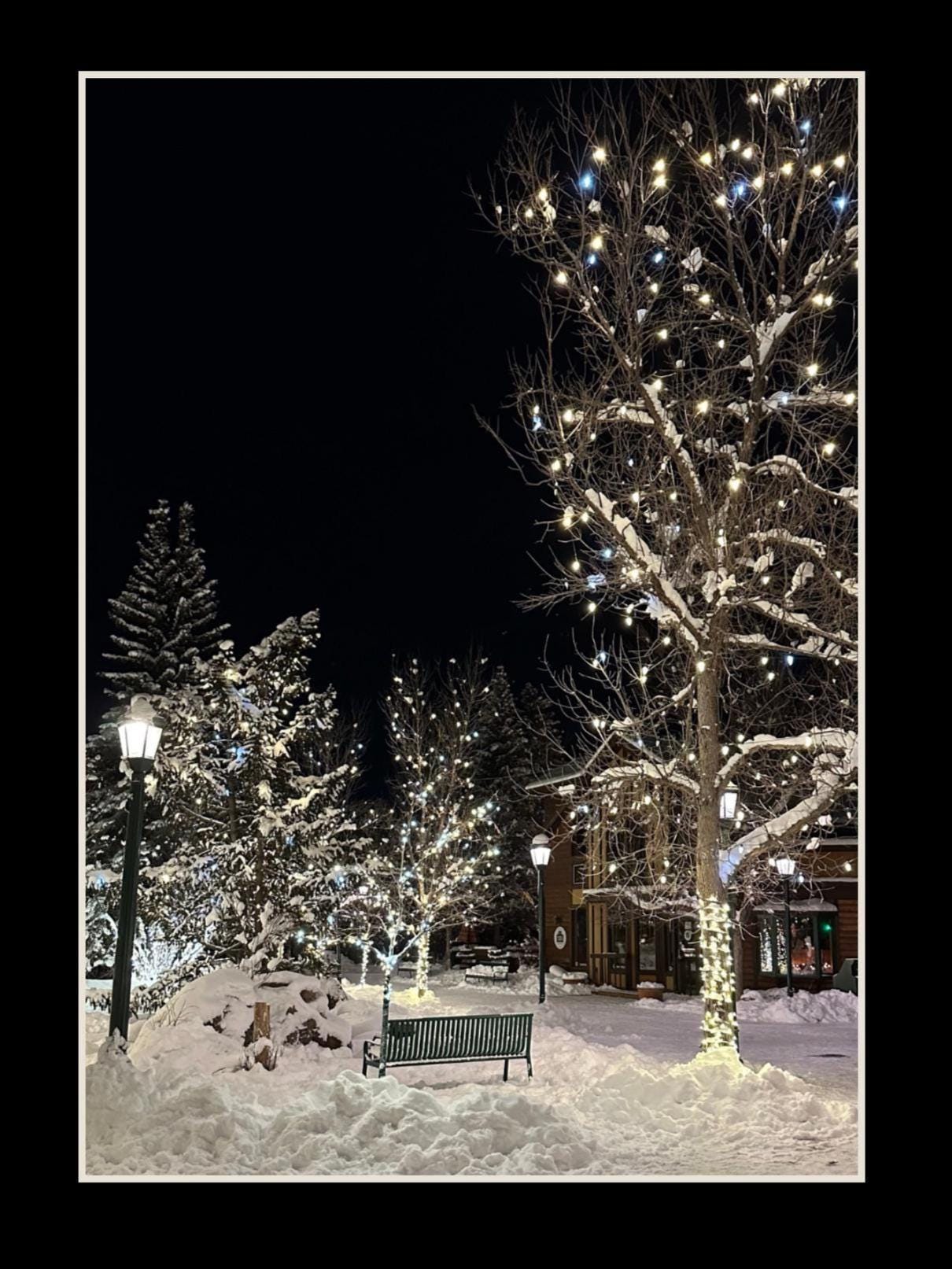 Estes Park, Colorado Winter scene notecards