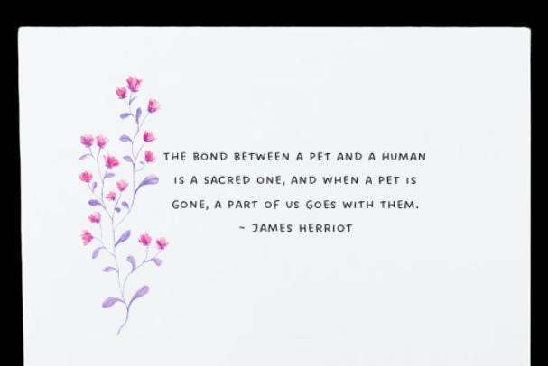 If love alone could have kept you alive - loss of cat sympathy card