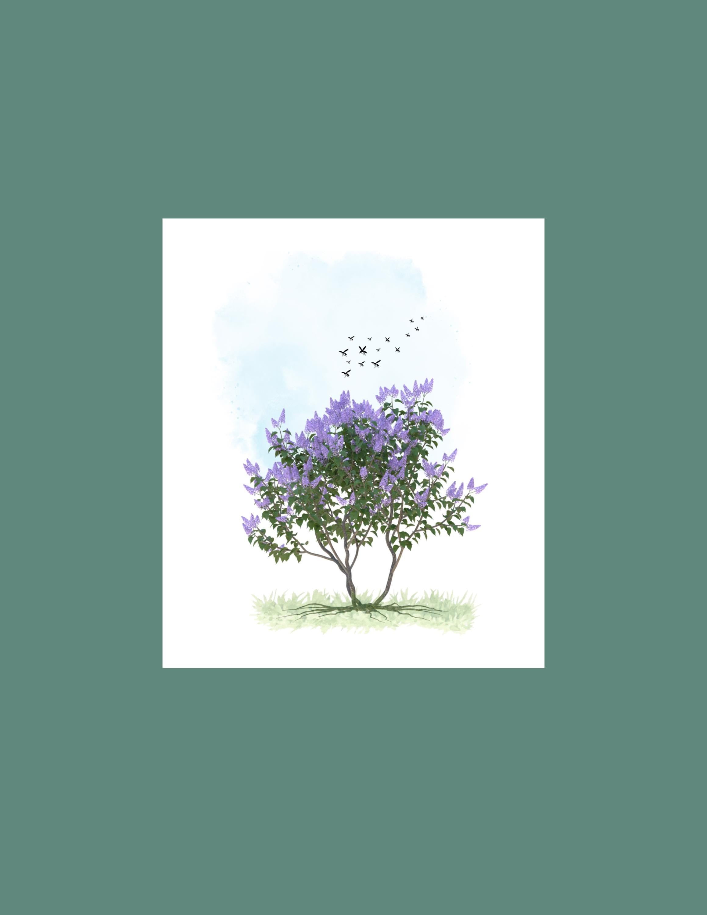 Lilac flower notecard