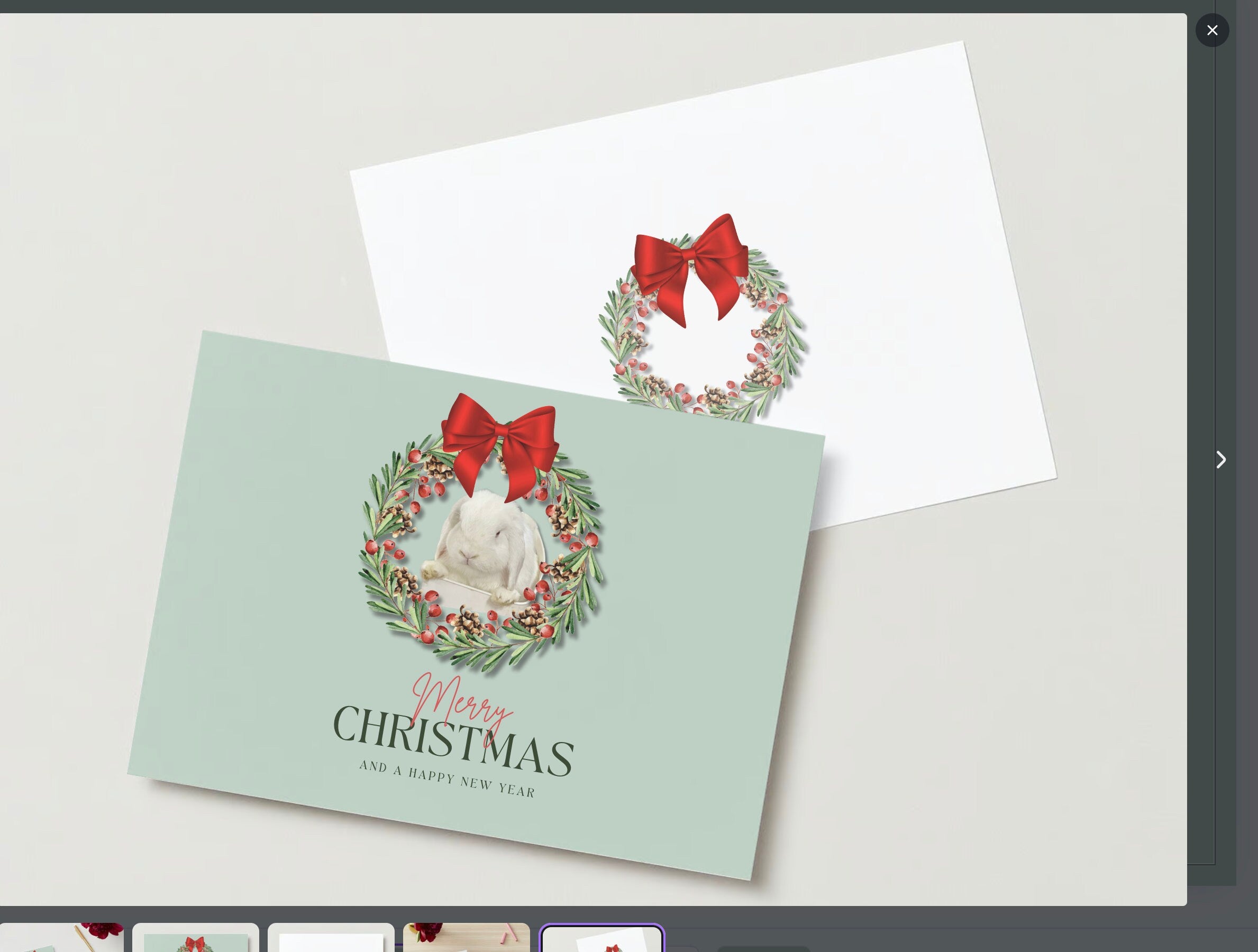 Merry Christmas Bunny