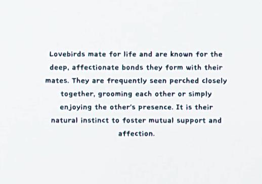 Love Birds Mate for Life anniversary card