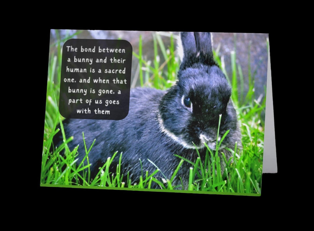 Loss of Beloved Bunny