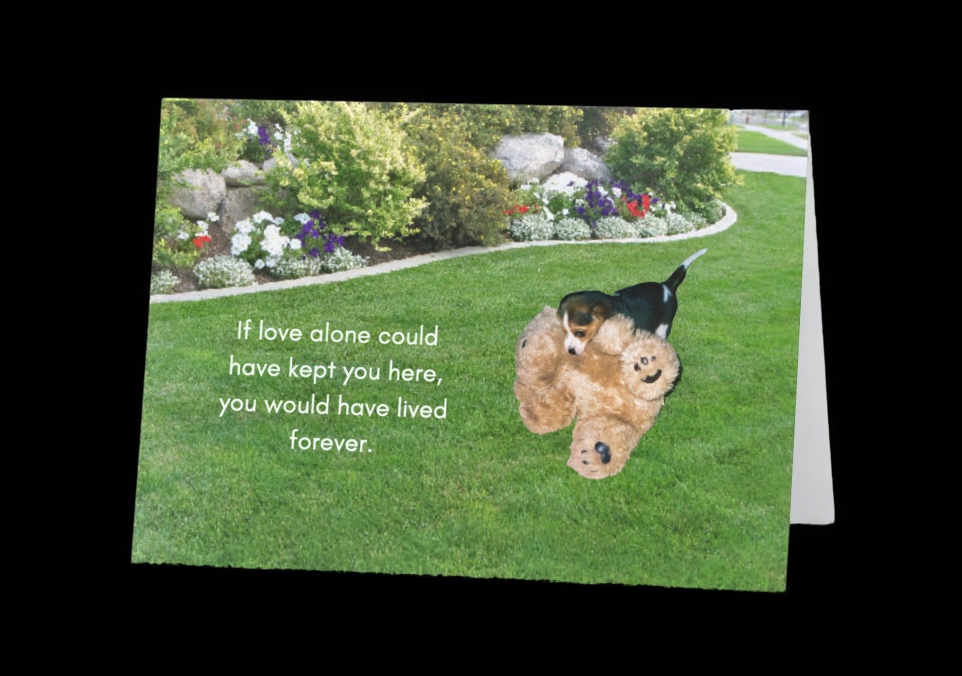 If Love Alone Could Have Kept You Here - Grieving the loss of a special pet