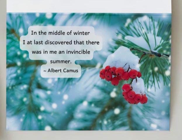 In the Middle of Winter...I Discovered