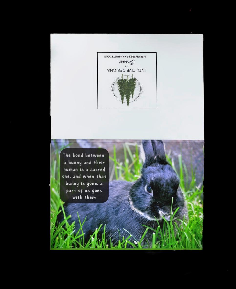 Loss of Beloved Bunny