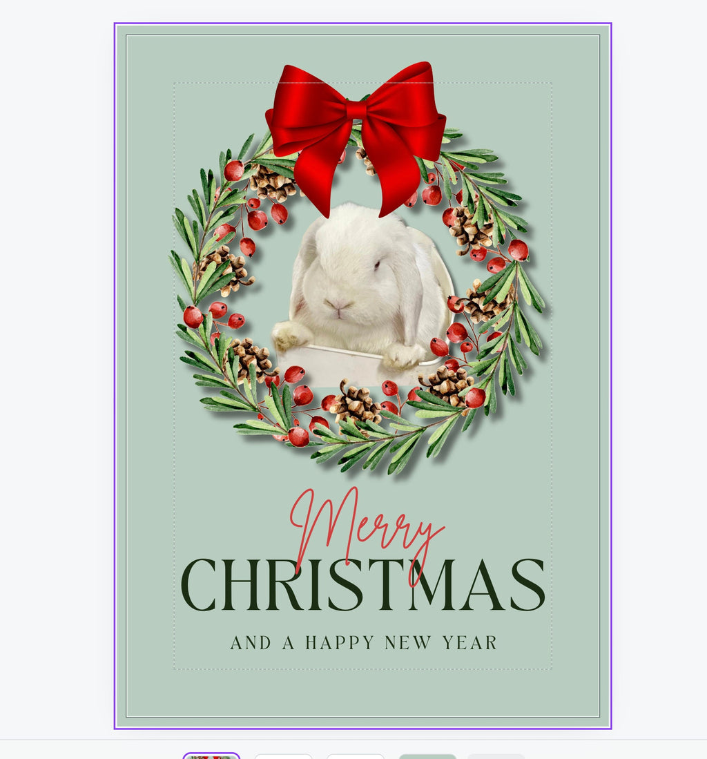 Merry Christmas Bunny